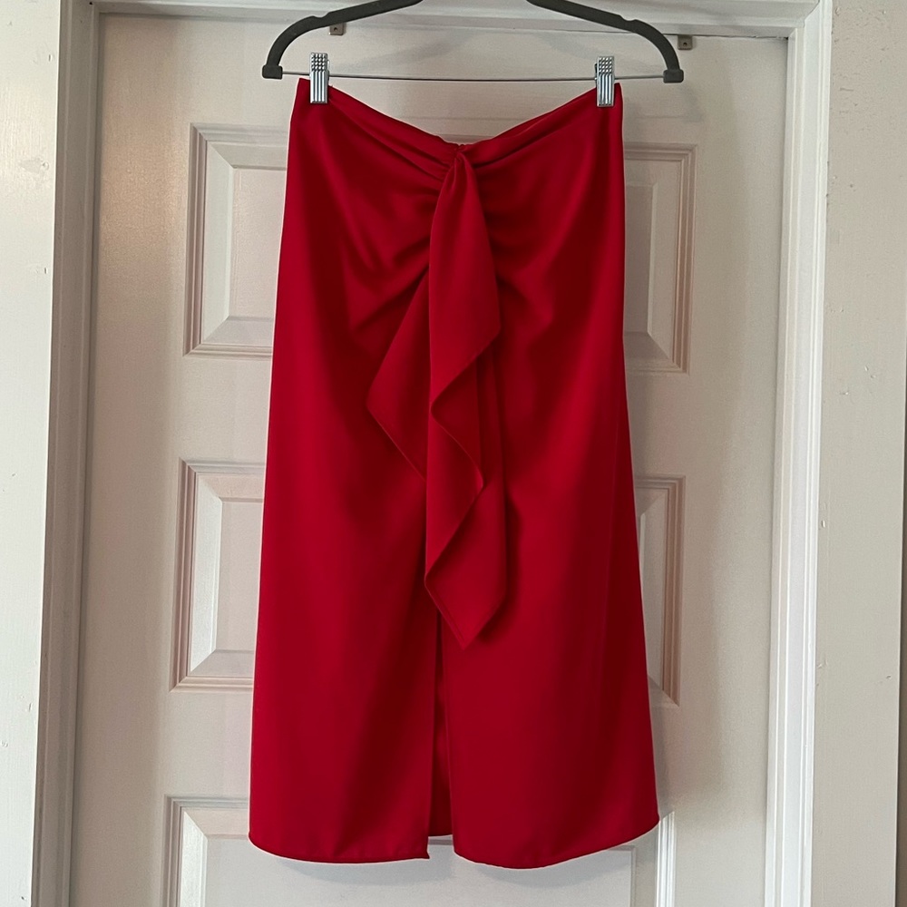 Zara Skirt